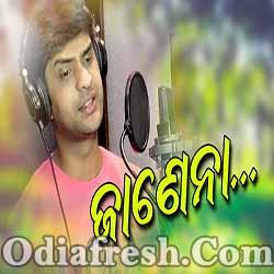 Janena - Odia Romantic Song By Swayam Padhi